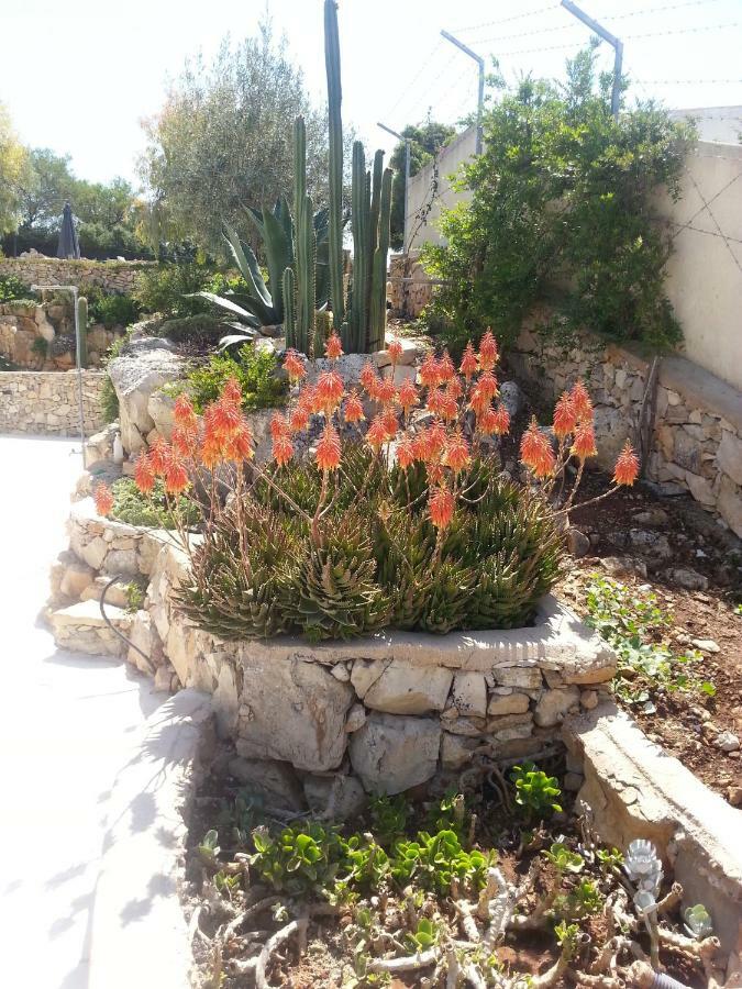Villa Cà del Mar Morciano di Leuca Exterior foto